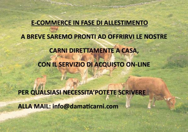 Sito in allestimento